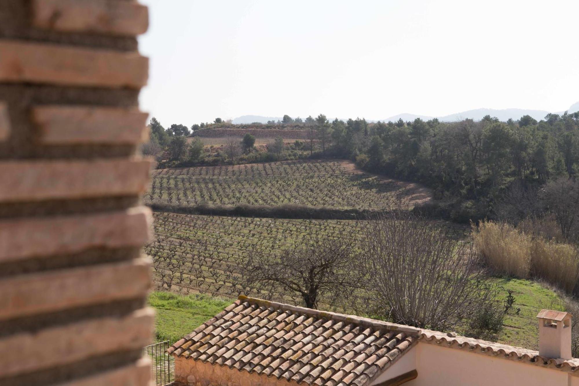 El Pla de Manlleu Casa Rural Masia Les Apieres מראה חיצוני תמונה
